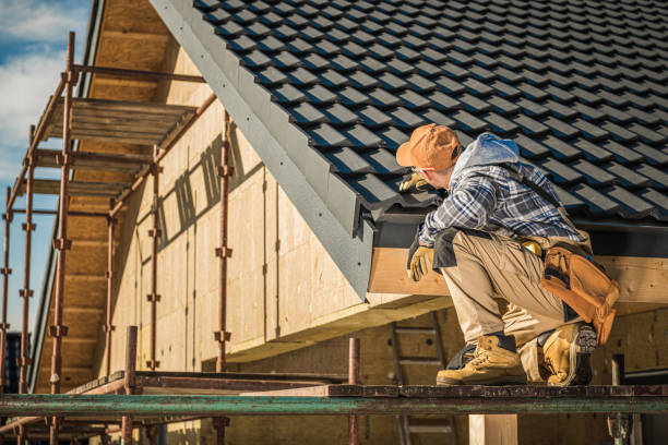 Best Roof Gutter Cleaning  in Willow Park, TX